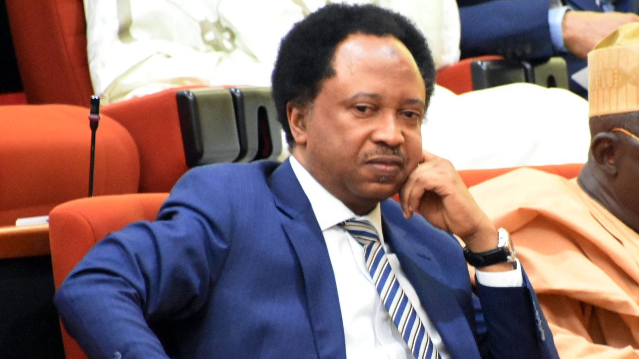 Shehu-Sani-1.jpg